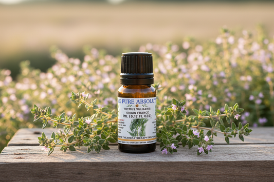 Thyme Pure Absolute 5ml - Clean Start