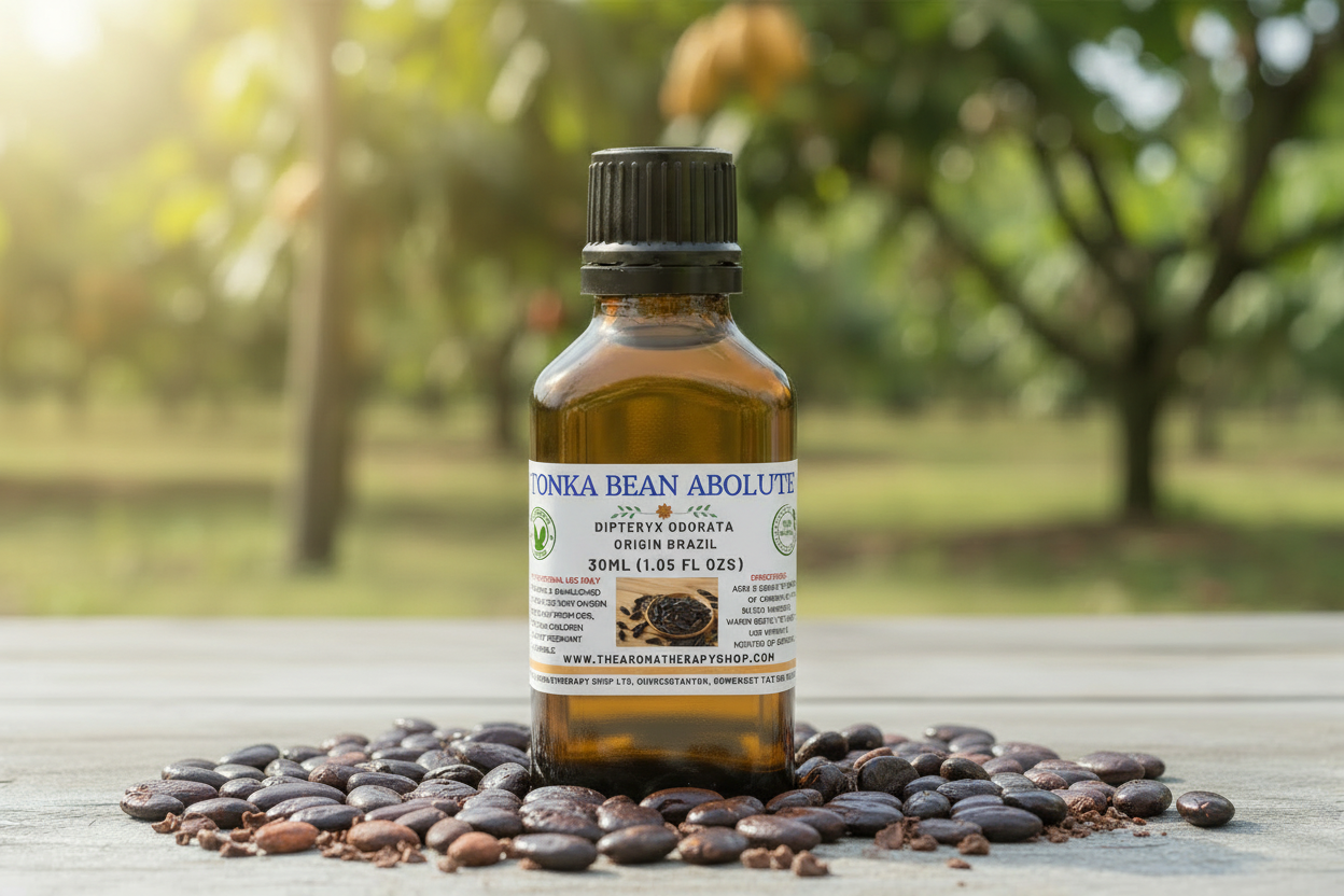 Tonka Bean Absolute 30ml - With Embedded Label Photo