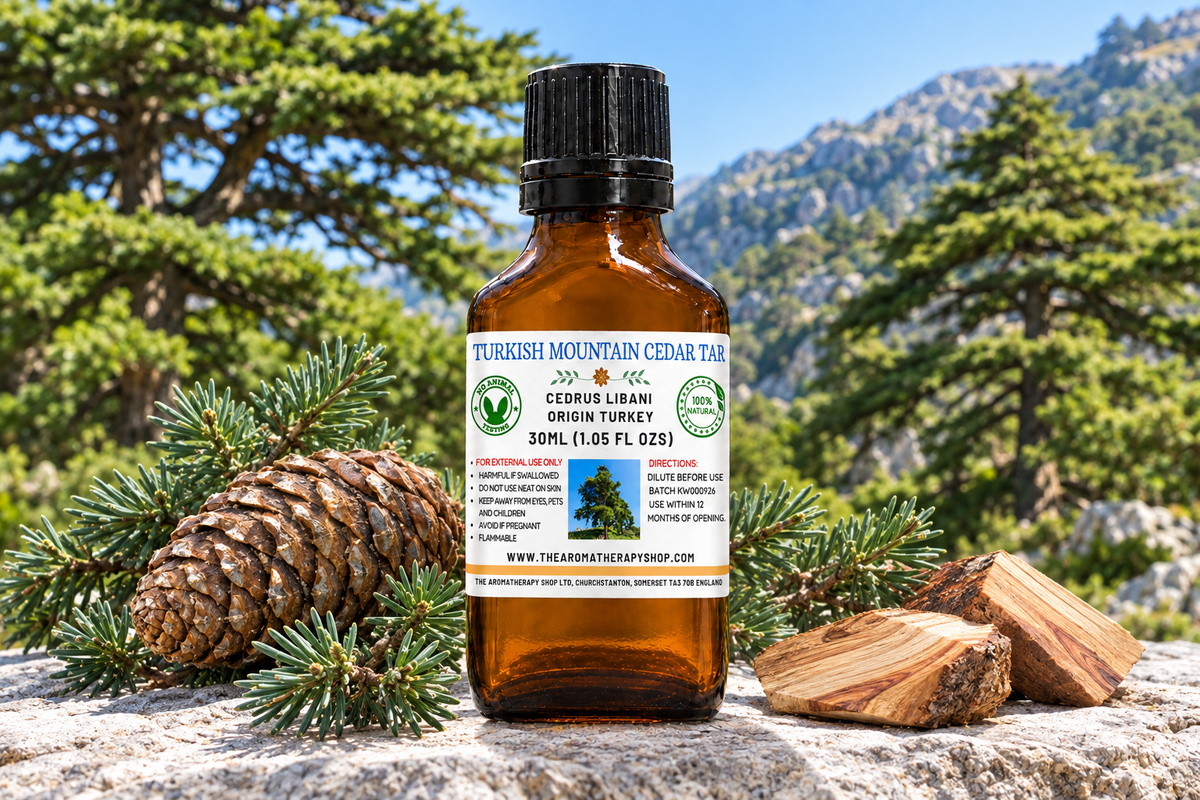 Turkish Mountain Cedar Tar showcase with your label, cedar elements on natural mountain limestone and a Turkish cedar-woodland background