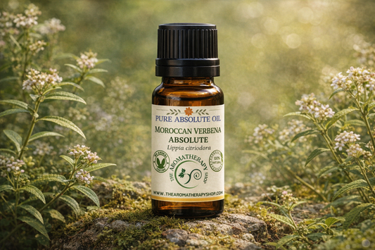 Moroccan Verbena Absolute - Lippia Citriodora |Perfumery Grade