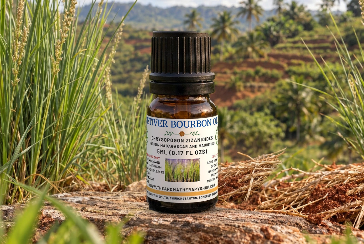 Vetiver Bourbon — Chrysopogon zizanioides | Biolandes Madagascar | The Perfumer's Vetiver