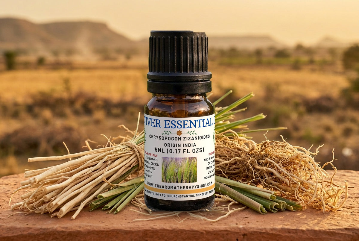 Vetiver Essential  Oil