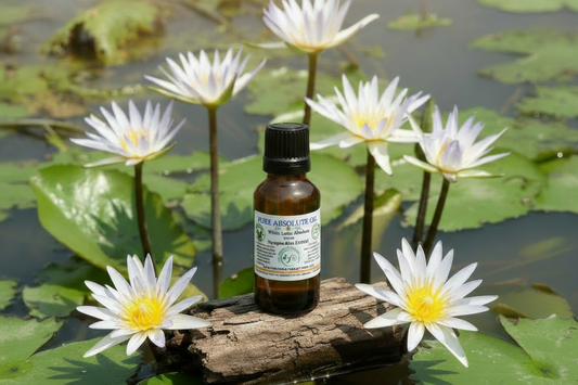 White Lotus Absolute with proportionate bottle