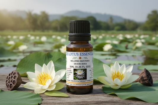 White Lotus Essential Oil 10ml Natural Outdoor Showcase