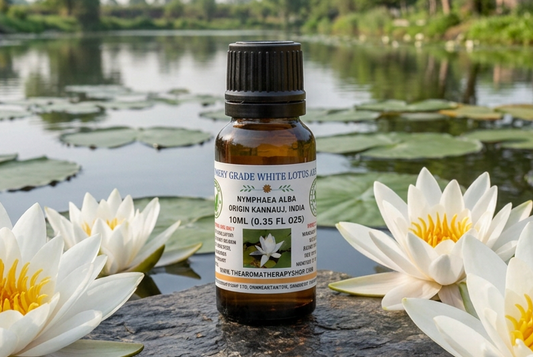 White Lotus showcase reframed with more headroom and larger foreground flowers