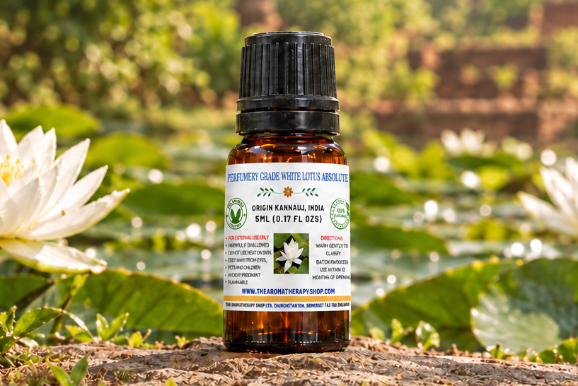 White Lotus showcase with title correction