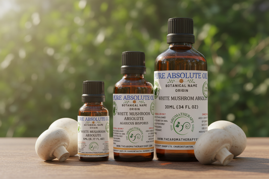 White Mushroom Absolute - 5ml, 10ml, 30ml bottles