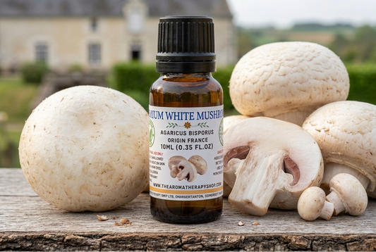 White Mushroom showcase revised with larger mature mushrooms relative to the 6.5cm bottle