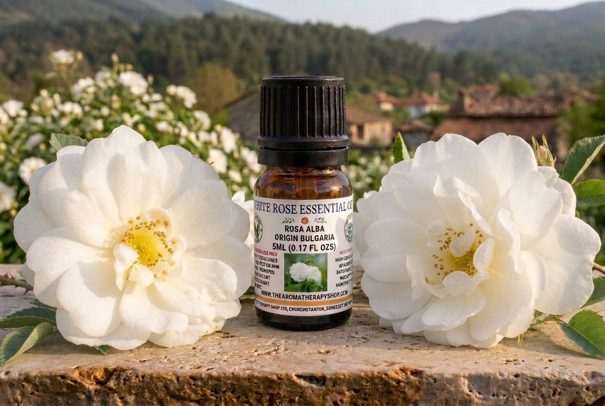 White Rose correction targeting the requested rose-to-bottle scale