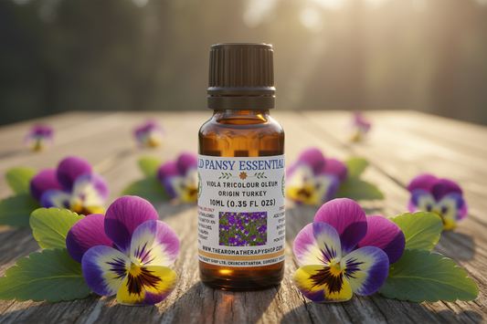 Wild Pansy Essential Oil 10ml - Oversized Pansies