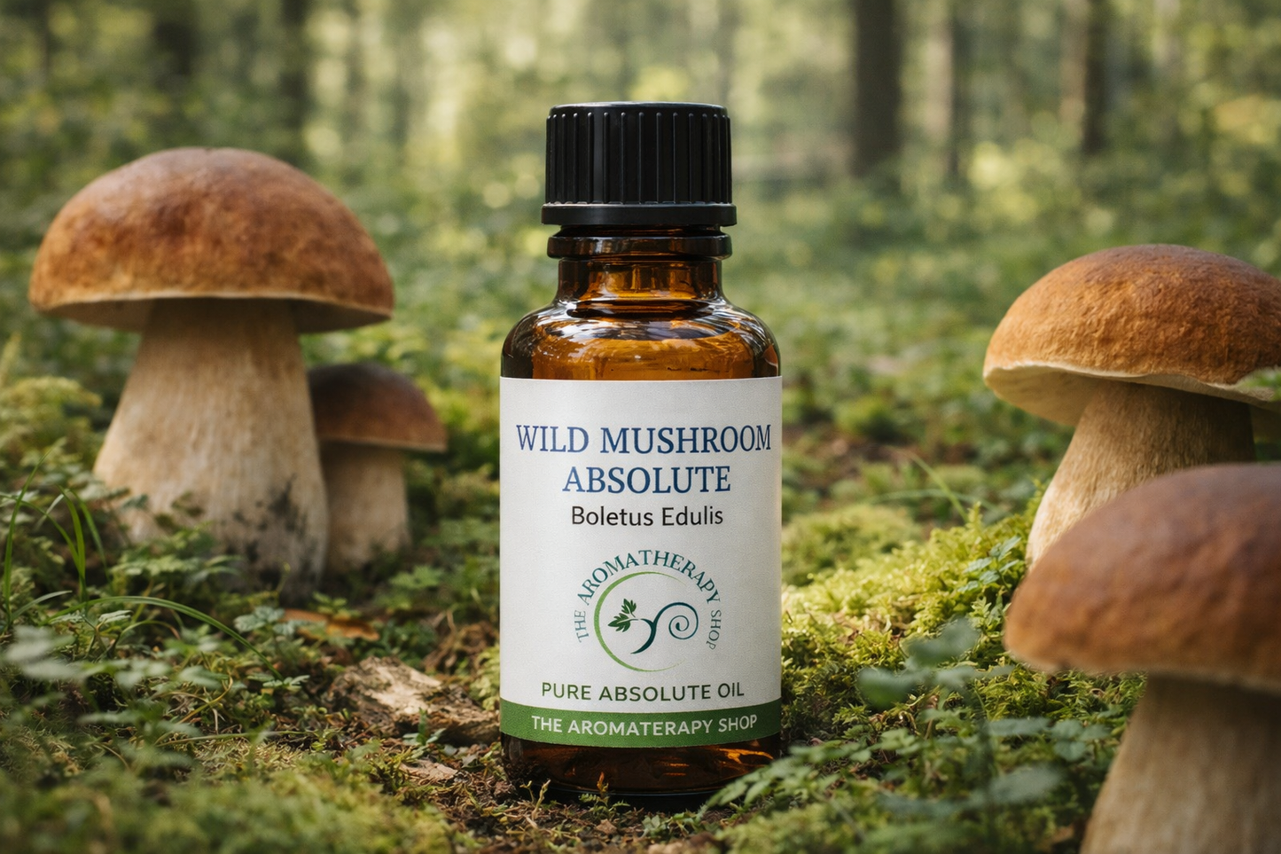 Wild Mushroom Absolute - Boletus Edulis | French Perfumery Grade