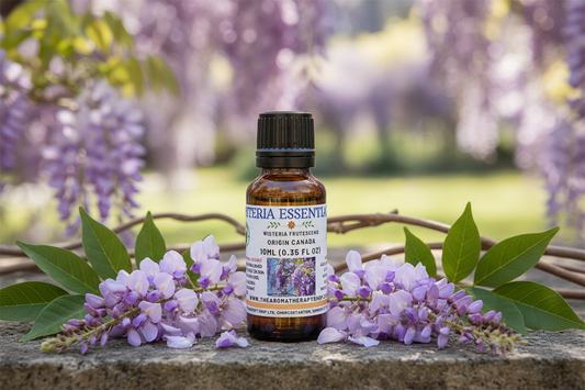 Wisteria Essential Oil 10ml