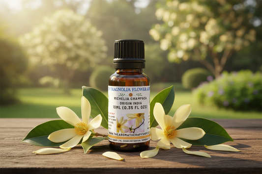 Yellow Magnolia Flower Absolute 10ml Outdoor Showcase