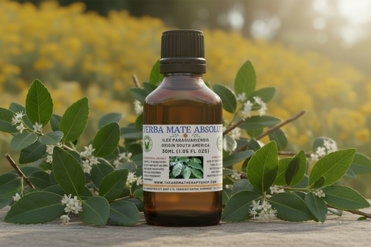 Yerba Mate Absolute 30ml - Clean Rebuild