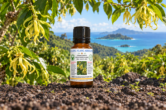 Ylang Ylang 10ml set farther back