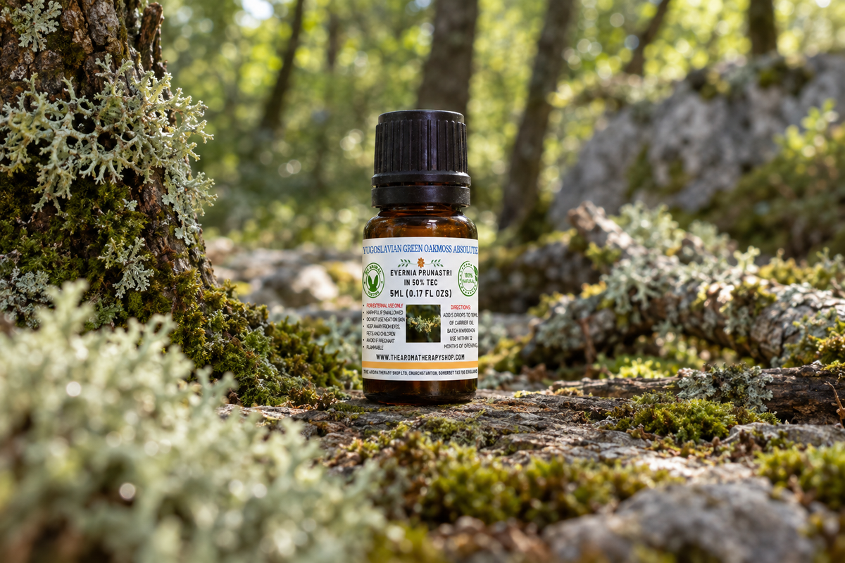 Yugoslavian Green Oakmoss Absolute 5ml outdoor showcase