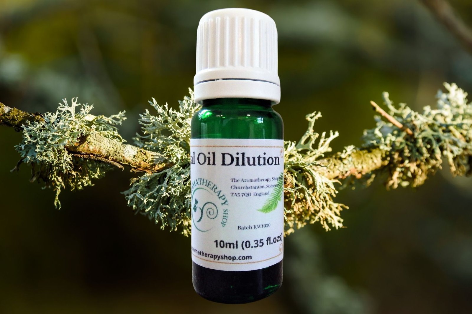 Oakmoss Absolute Oil Dilution The Aromatherapy Shop Ltd