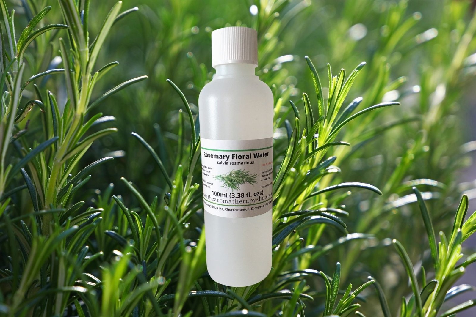 Rosemary Floral Water The Aromatherapy Shop Ltd